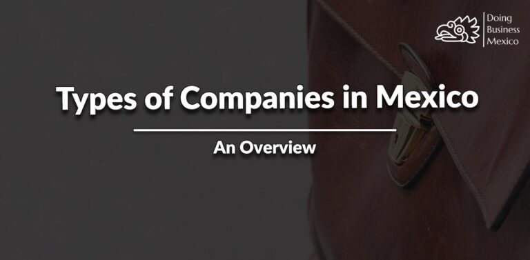 types-of-companies-in-mexico-overview