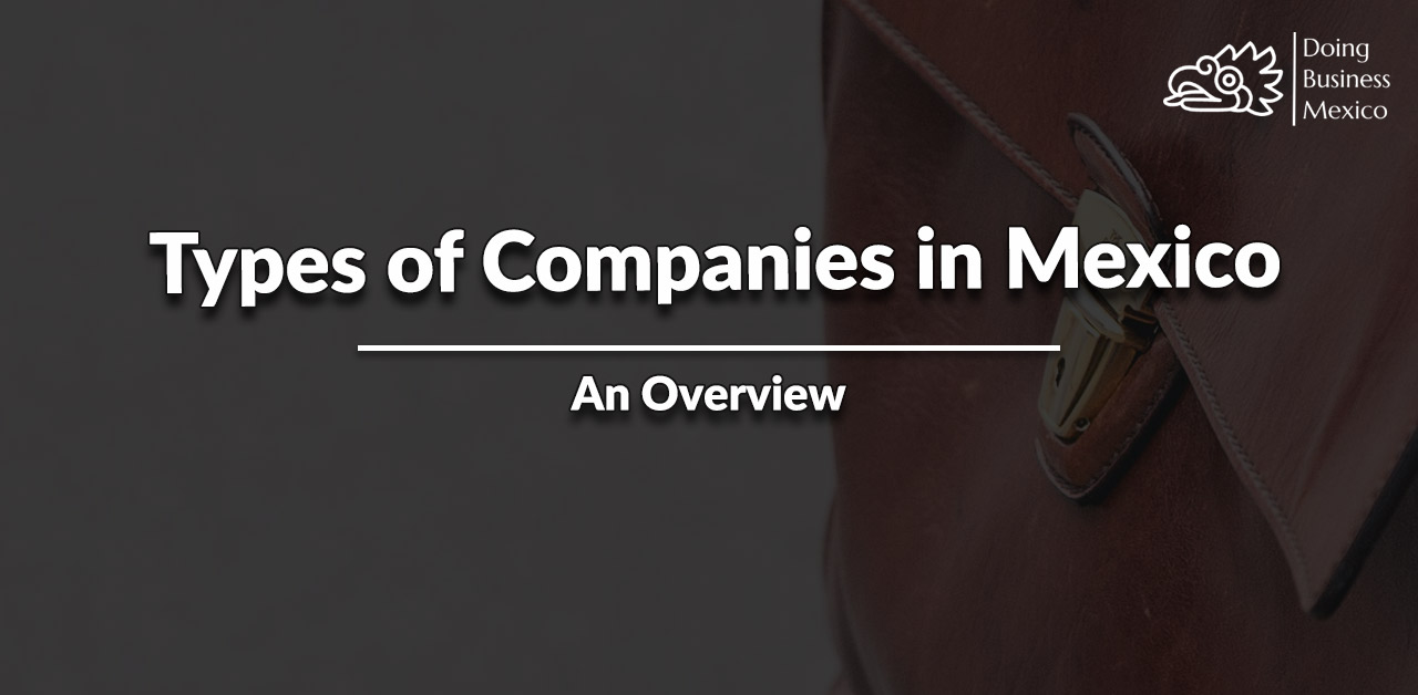 Companies in Mexico, LLC, Stock Company, Legal, Corporate Governance, Shares